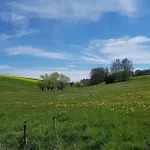 Polly - Keine Monteure *