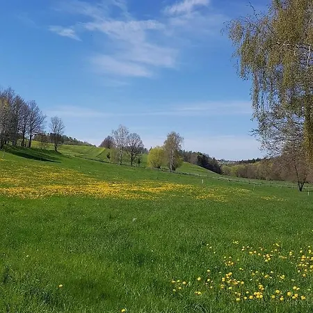 Polly Дом отдыха *