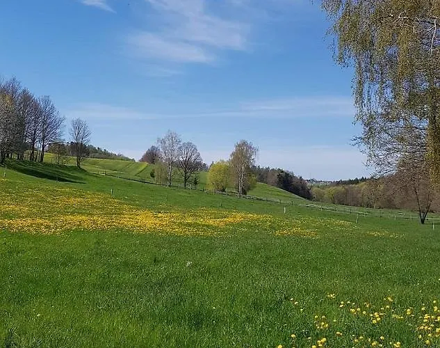 Polly Holiday home *